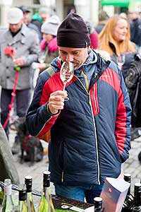 Příjezd svatého Martina a slavnostní otevření Svatomartinského vína 11. 11. 2023, foto: Tomáš Kasal (50/58)