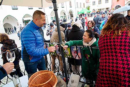 Příjezd svatého Martina a slavnostní otevření Svatomartinského vína 11. 11. 2023, foto: Tomáš Kasal (53/58)
