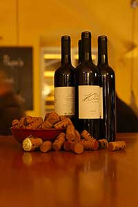 Kunc Vinum v&nbsp;Papas 23.11.2023, Festival vína Český Krumlov® (2/30)