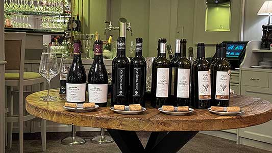 Festival vína Český Krumlov® – Rioja, aneb to nejlepší ze Španělska - 8. a 9. 10. 2024 (4/11)