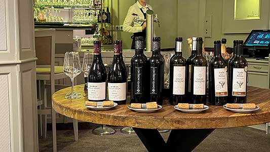 Festival vína Český Krumlov® – Rioja, aneb to nejlepší ze Španělska - 8. a 9. 10. 2024 (11/11)