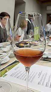 Festival vína Český Krumlov® – Slovinský den – Butik chutí & vůní 1. 11. 2024 (2/9)