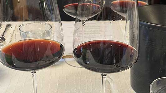 Festival vína Český Krumlov® – Michal Šetka představuje světové vinařky 2. 11. 2024 (23/28)