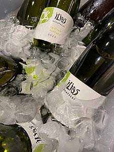 Festival vína Český Krumlov® – Georgios Ilias – Víno s&nbsp;příběhem 15. 11. 2024 (1/21)