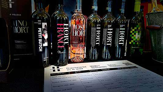 Zámecká slavnost vína 23. 11. 2024, Festival vína Český Krumlov ® (29/63)