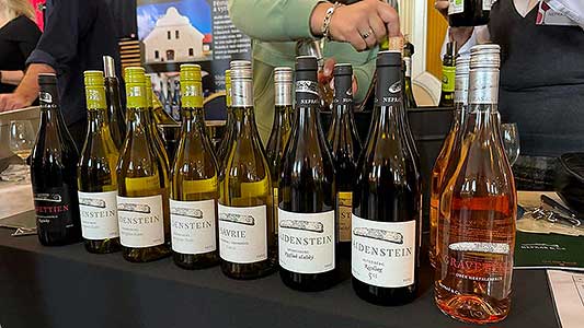 Zámecká slavnost vína 23. 11. 2024, Festival vína Český Krumlov ® (40/63)