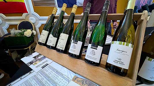 Zámecká slavnost vína 23. 11. 2024, Festival vína Český Krumlov ® (46/63)