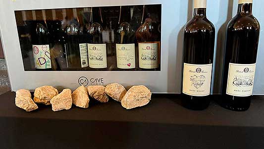 Zámecká slavnost vína 23. 11. 2024, Festival vína Český Krumlov ® (54/63)