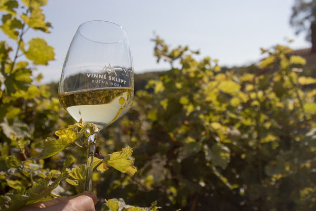 Vinné sklepy Kutná Hora – Párování s českými pokrmy, Unikátní vína z prvního českého biodynamického Demeter vinařství s 5chodovým českým menu 2 Vinné sklepy Kutná Hora – Párování s českými pokrmy, Unikátní vína z prvního českého biodynamického Demeter vinařství s 5chodovým českým menu 2