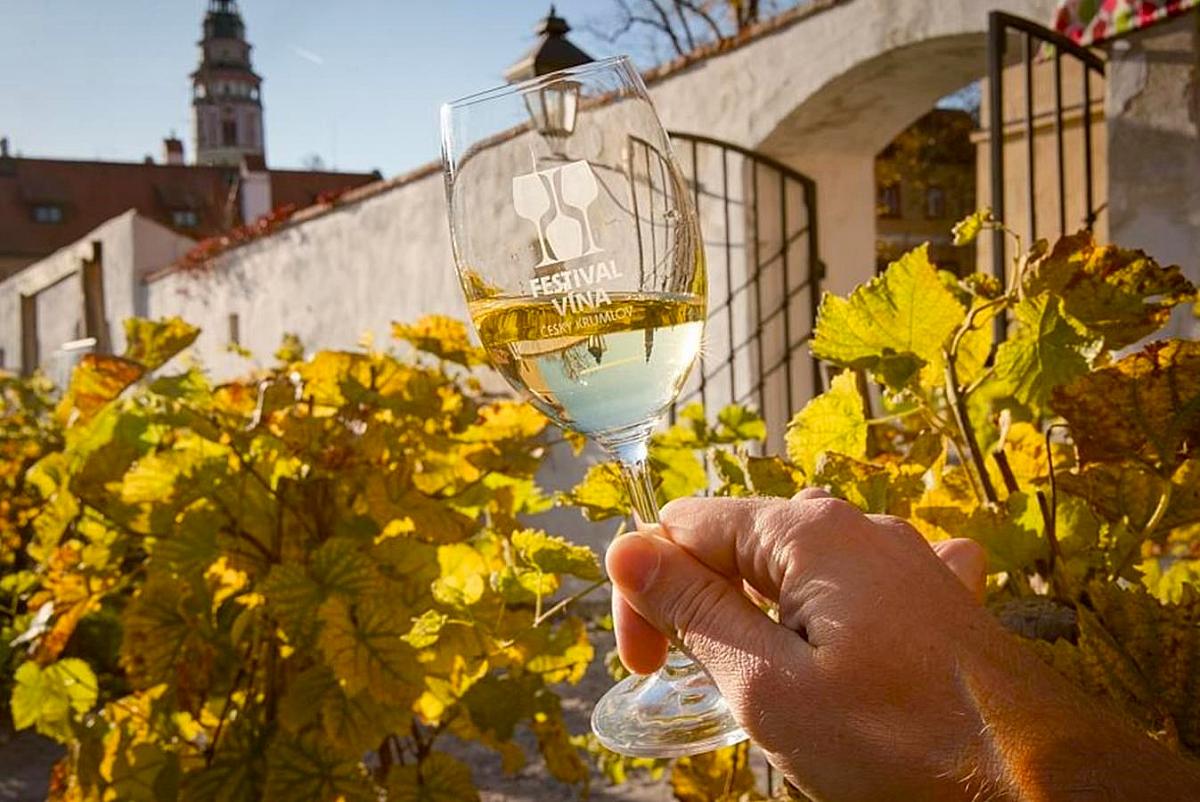 Wine tour – Túra po krumlovských viničkách, Komentovaná procházka s ochutnávkou vín ve viničkách zámku a historických zahradách 2 Wine tour – Túra po krumlovských viničkách, Komentovaná procházka s ochutnávkou vín ve viničkách zámku a historických zahradách 2