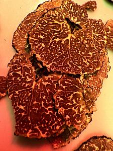 Winebox CB a&nbsp;Champagne Deutz, Plzeňka U&nbsp;Zelené ratolesti České Budějovice 14.10.2025 (12/19)