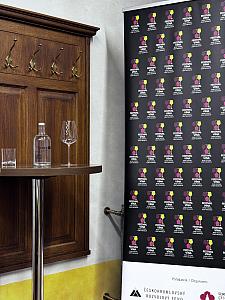 Klára Kollárová – Souboj chutí: Česko vs. svět, Renesanční sály u&nbsp;radnice 3. 10. 2025 (10/10)