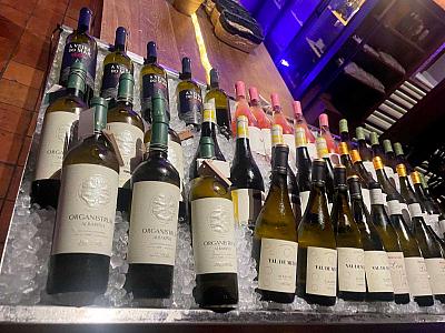 Vína z&nbsp;Galicie, oblastí Rais Baixas a&nbsp;Ribeira Sacra, Poetický bar Žlutá ponorka Č. Budějovice, 23. 10. 2025 (1/5)