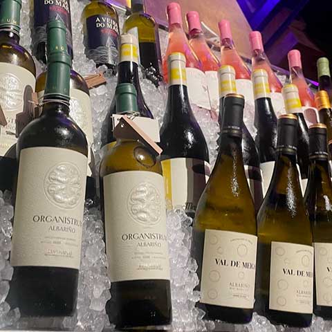 Vína z Galice, Žlutá ponorka ČB, 23. 10. 2025