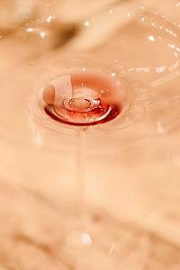 Farmář & Sedlák - STODOLA Černice 22.10.2025 (44/47)