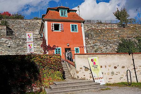 Wine tour – Túra po krumlovských viničkách 2025 (3/50)