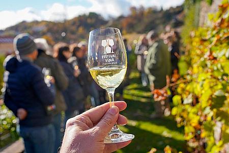 Wine tour – Túra po krumlovských viničkách 2025 (12/50)