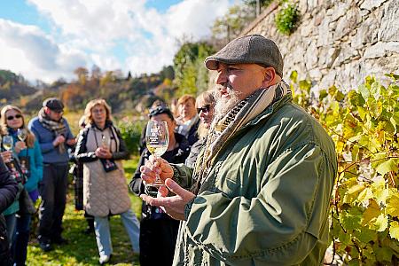 Wine tour – Túra po krumlovských viničkách 2025 (13/50)