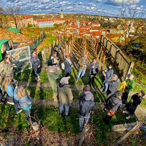 Wine tour – Túra po krumlovských viničkách