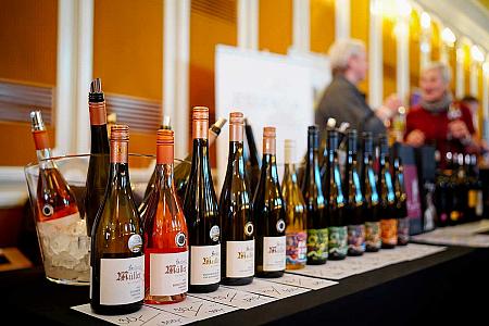 Zámecká slavnost vína 22. 11. 2025, Festival vína Český Krumlov ® (13/105)