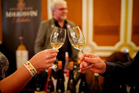 Zámecká slavnost vína 22. 11. 2025, Festival vína Český Krumlov ® (24/105)
