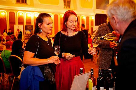 Zámecká slavnost vína 22. 11. 2025, Festival vína Český Krumlov ® (27/105)