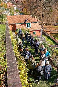 Wine tour – Túra po krumlovských viničkách, zdroj: FVČK, foto: Tom Kasal (2/12)