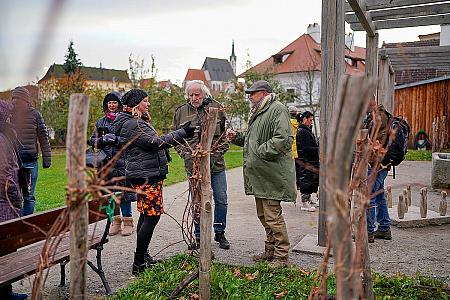 Wine tour – Túra po krumlovských viničkách, zdroj: FVČK, foto: Tom Kasal (10/12)
