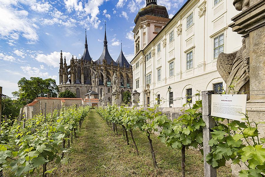 Vinné sklepy Kutná Hora – Párování s českými pokrmy, Unikátní vína z prvního českého biodynamického Demeter vinařství s 5chodovým českým menu Vinné sklepy Kutná Hora – Párování s českými pokrmy, Unikátní vína z prvního českého biodynamického Demeter vinařství s 5chodovým českým menu