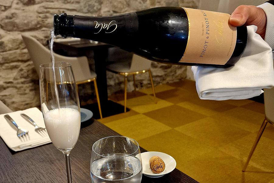 Knedlíčkové menu v doprovodu jihomoravských vinařů, 7chodové degustační menu s víny předních jihomoravských vinařů Knedlíčkové menu v doprovodu jihomoravských vinařů, 7chodové degustační menu s víny předních jihomoravských vinařů